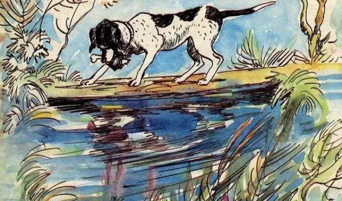 басни и ее тень. басня л толстого собака и ее тень. собака и её тень басня. л. басни и ее тень.