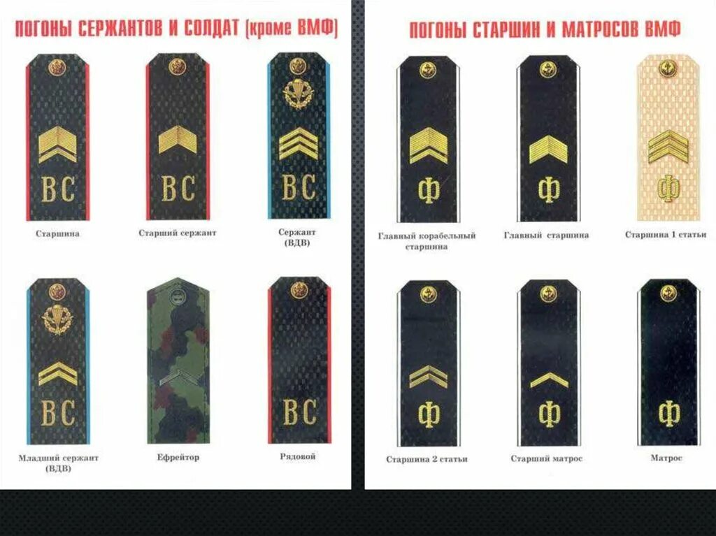 звания военнослужащих вс рф по погонам.