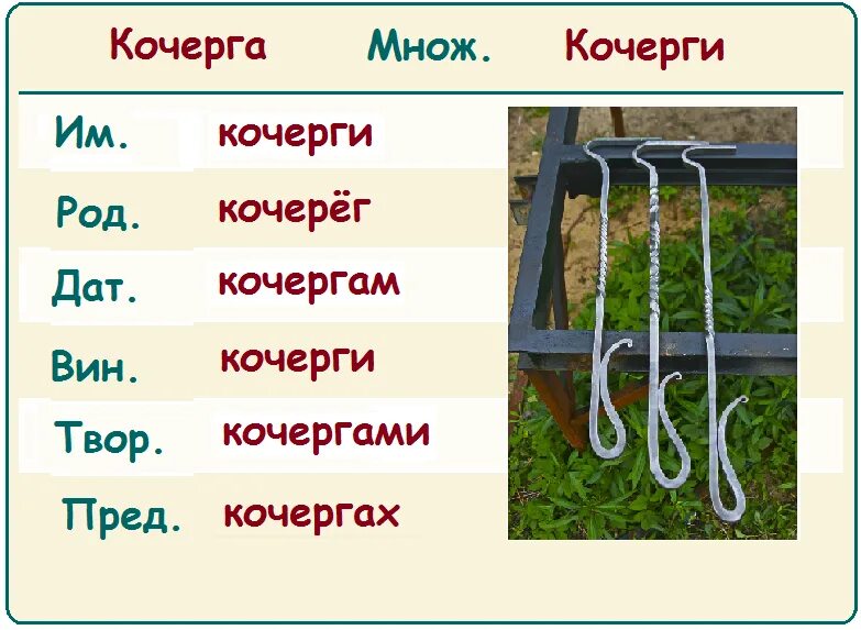 Кочерег. Много кочерег. Кочерга во множественном числе. Кочергамножествонное число. Слово дно во множественном