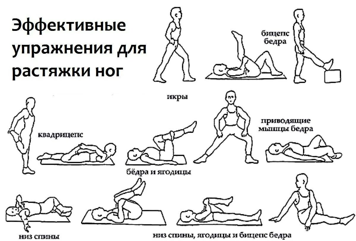 Техника самоотсоса. Комплекс упражнений разминки растяжки. Комплекс упражнений на растягивание мышц ног. Заминка после тренировки упражнения растяжка. Растяжка после силовой на ноги.