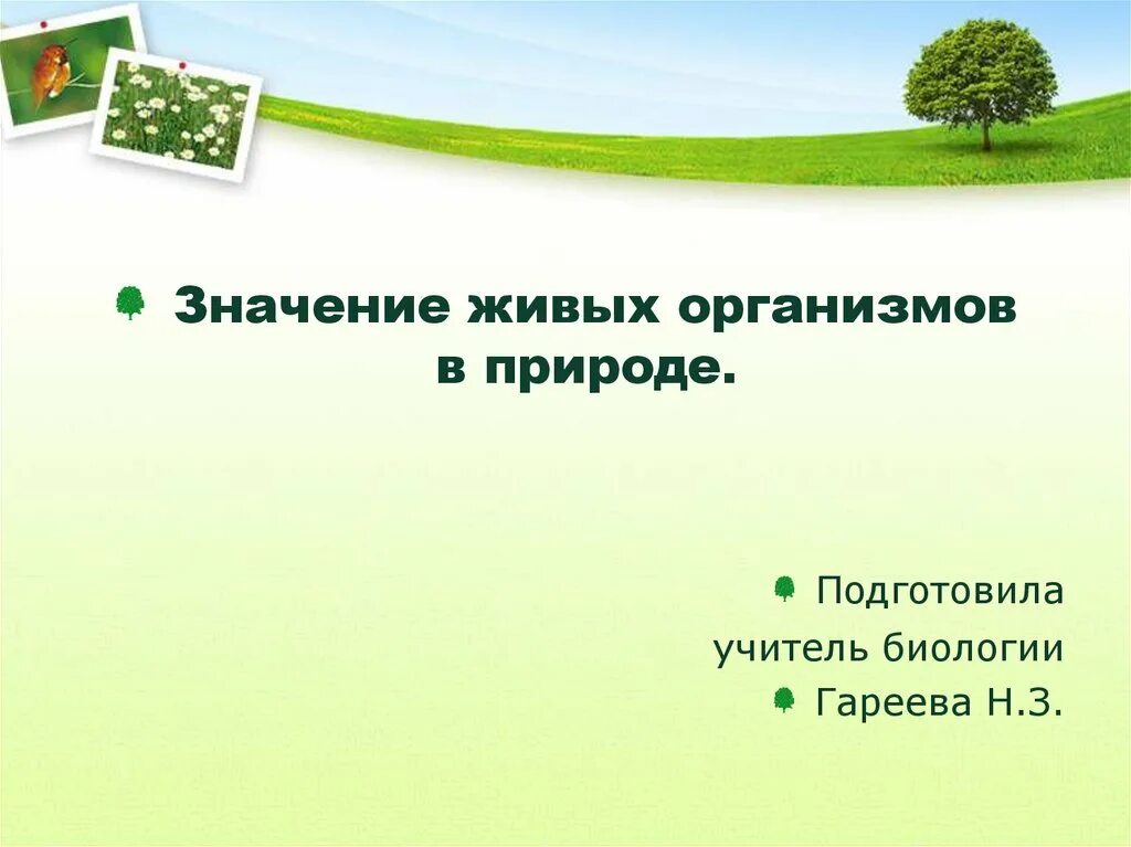 Природа это определение. Значение живых организмов в природе и жизни человека. Что значит быть живым человеком. Что значит быть живым человеком. Пока человек чувствует боль он жив пока.