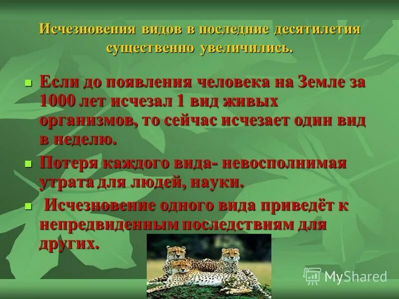 Палеонтология это наука в биологии. Наука изучающая динозавров. Наука о вымерших растениях. Наука о вымерших растениях. Палеонтология доказательства эволюции.