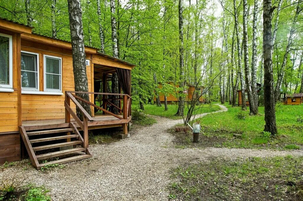 парк-отель манжерок на береговой. смоленская область барвиха парк. отели турбазы парки. отели турбазы парки. парк-отель васильевский безенчукский.