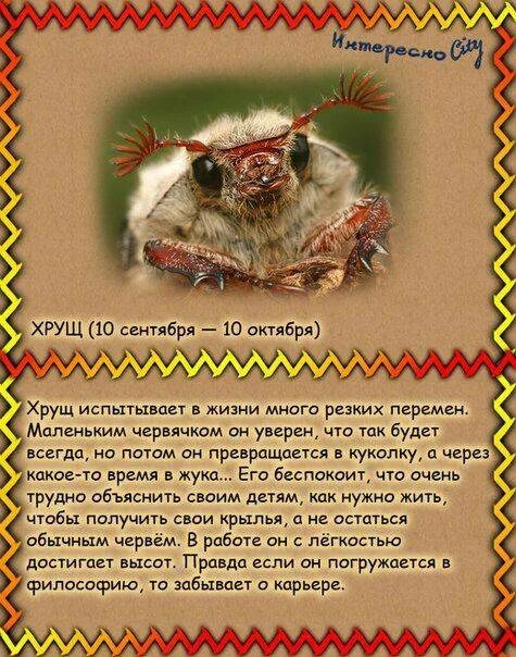 Чей год по славянскому календарю. Славянский гороскоп. Старославянский гороскоп. Славянский гороскоп по годам. Гороскоп животных.