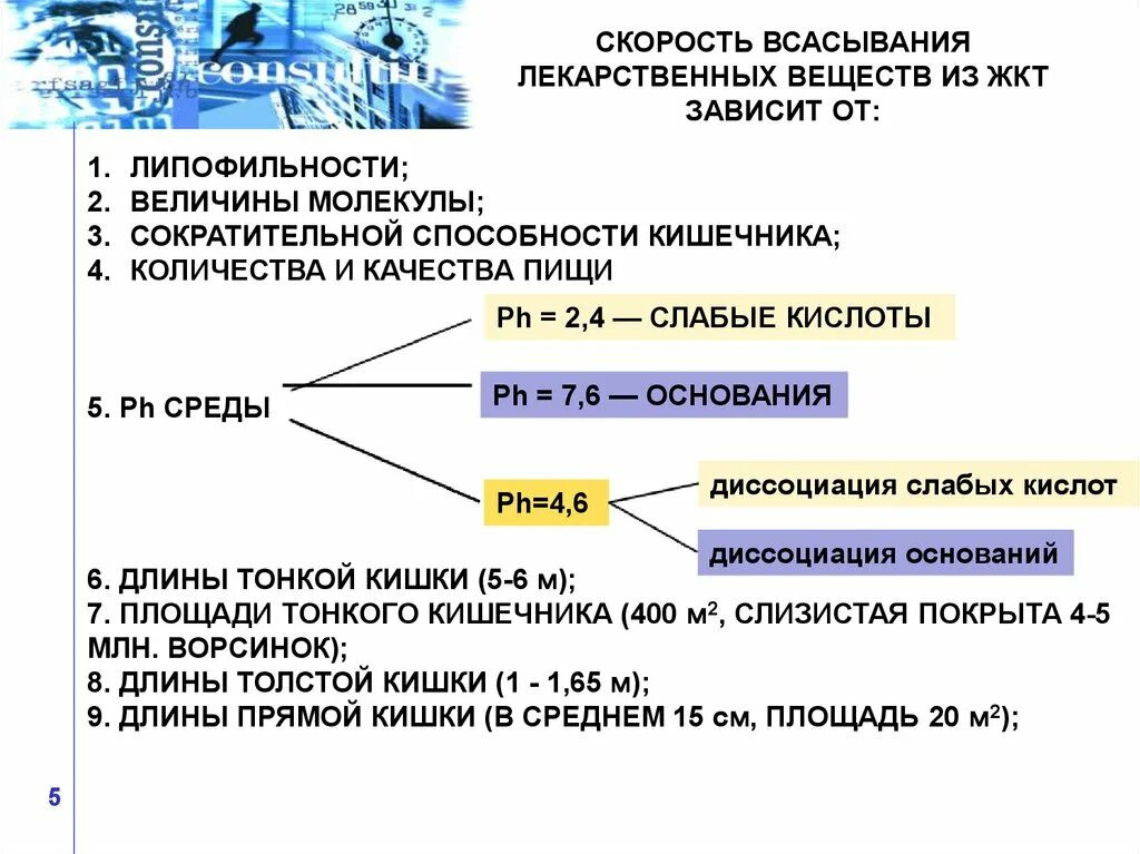 Скорость всасывания воды