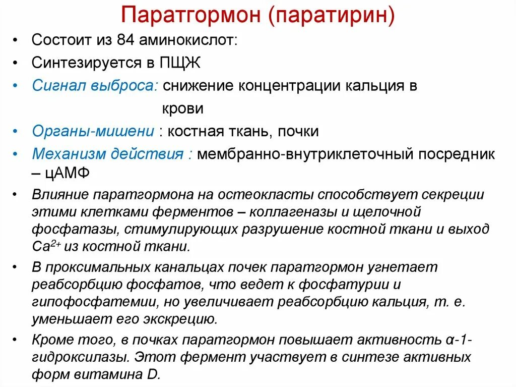 Интактный паратиреоидный гормон. Паратгормон. Паратгормон органы мишени. Паратгормон структура. Паратгормон роль.