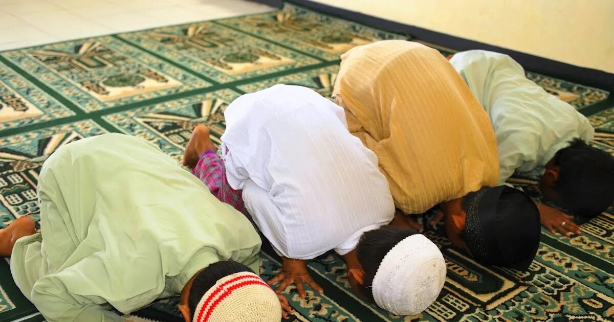 Что такое намаз у мусульман. Мусульмане кланятся. Мусульмане молятся на коленях. Картинки как молятся мусульмане.