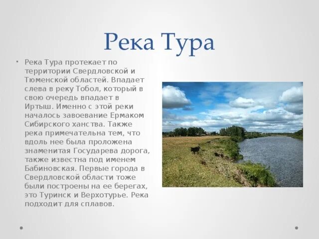 Где берет начало река тура. Река тура Тюменской губернии. Исток реки Тобол в Тюменской области. Описание реки Свердловской области 4 класс. Река тура рассказ.