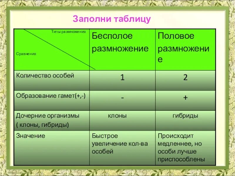 Увеличение числа особей. Увеличение числа особей