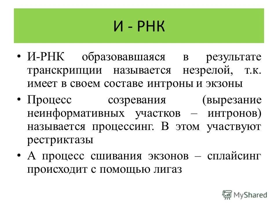 Какой процесс называют транскрипцией. Биосинтез рнк. Биосинтез рнк (транскрипция):механизм. Синтез ирнк на матрице днк. Процесс регуляции транскрипции.