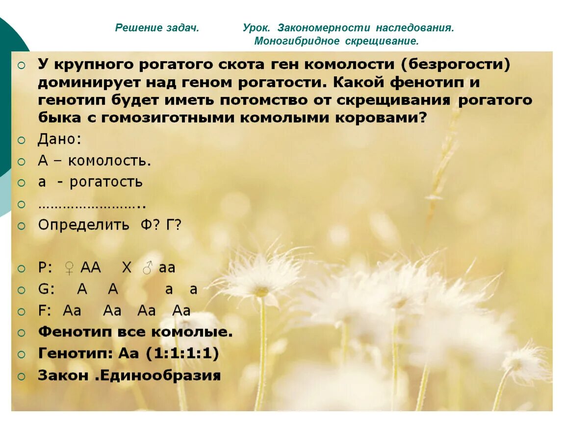 Какое потомство получится при скрещивании гомозиготной