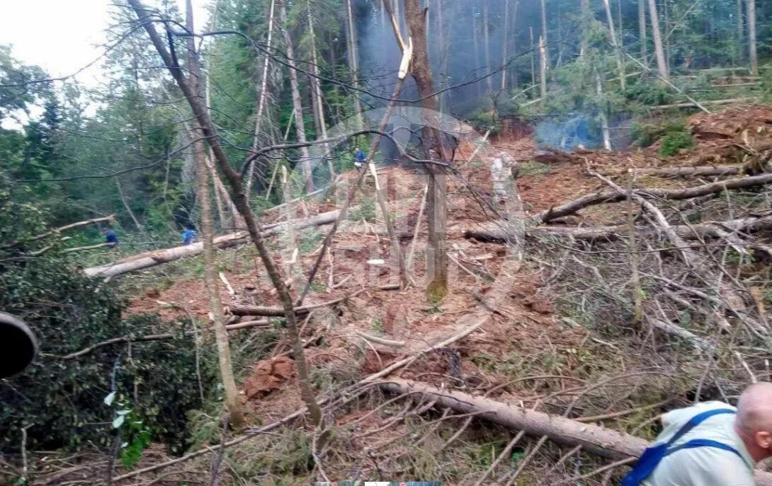 Падение самолета Верещагинский район. Упавшие самолеты в лесах.