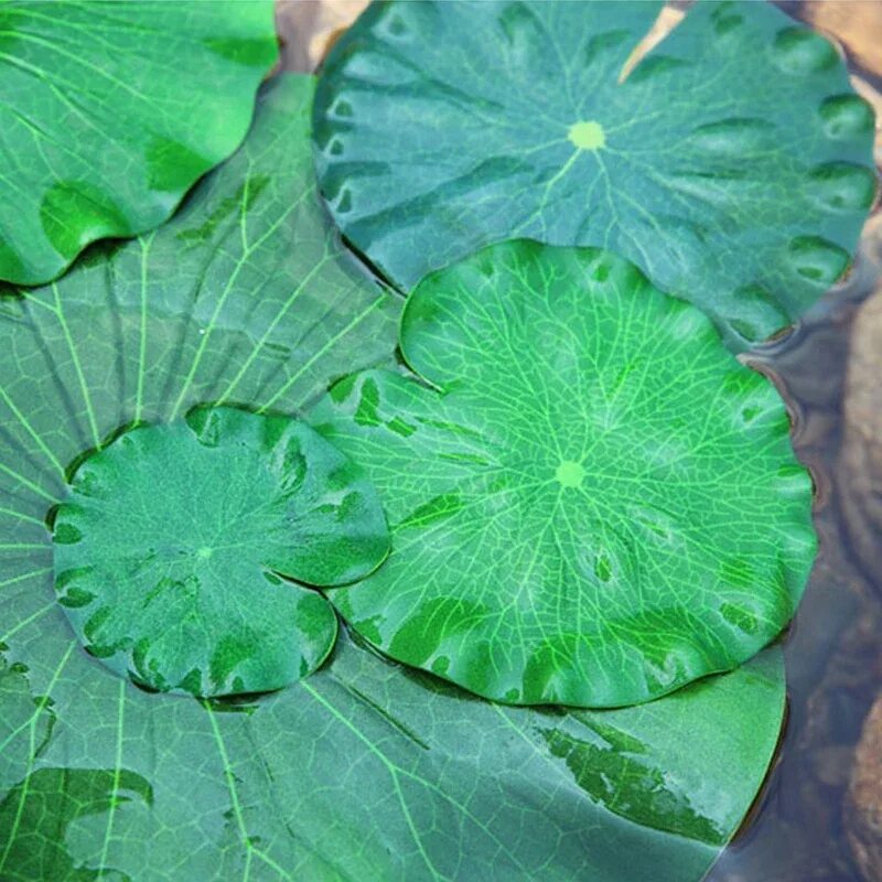 Kite Lotus Water Lilies - Free photo on Pixabay Room with plants, Stain resistan