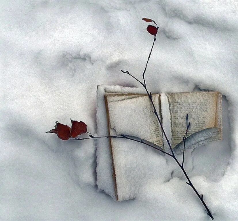 Письмо на снегу. Снег рисунок. Тени от деревьев на снегу. Мартовские тени на снегу. Хочется верить но она всего лишь кошка