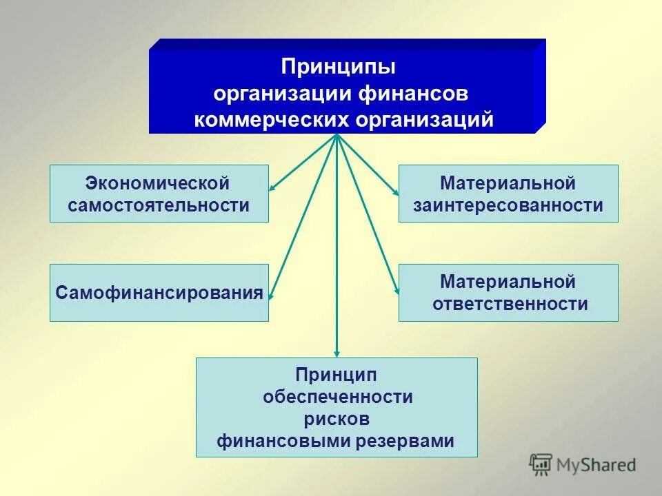 принципы функционирования системы управления. принципы функционирования предприятия. принципы управления таблица. организация отрасль в условиях рынка. принципы организации финансов предприятий.