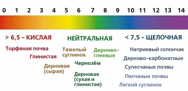 Жимолость какая кислотность почвы. PH кислотность почвы для клубники. Шкала кислотности PH почвы. Кислотность почвы шкала кислотности. PH 12 кислотность почвы.