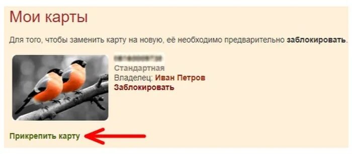 Зарегистрировать снегири. Карта снегири петровский архангельск. карта снегири петровский. карта снегири. бонусная карта снегири.