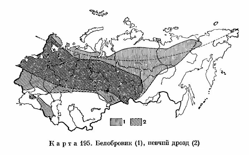 Черный дрозд ареал обитания. Певчий Дрозд ареал. Ореол обитания Дроздов. Дрозды ареал обитания. Черный Дрозд ареал обитания в России.