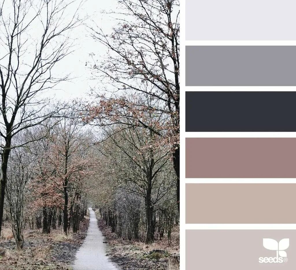 цветовые сочетания палитра сидс. красивые сочетания цветов. тусклая цветовая палитра. цветовая гамма осень. зимняя палитра цветов.