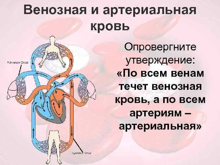 Особенность артериальной крови. Артериальная кровь и венозная кровь. Какого цвета венозная кровь и артериальная. Венозная и артериальная кровь различия.