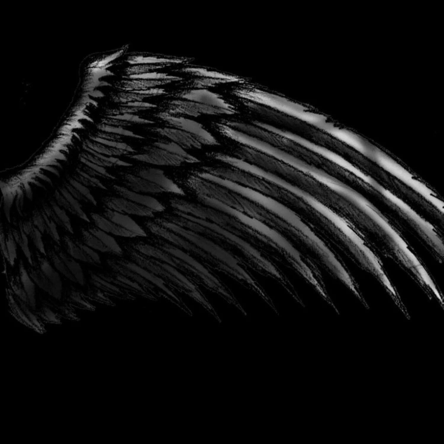 Черные Крылья. Крылья демона. Черные ангельские Крылья. Крылья на черном фоне