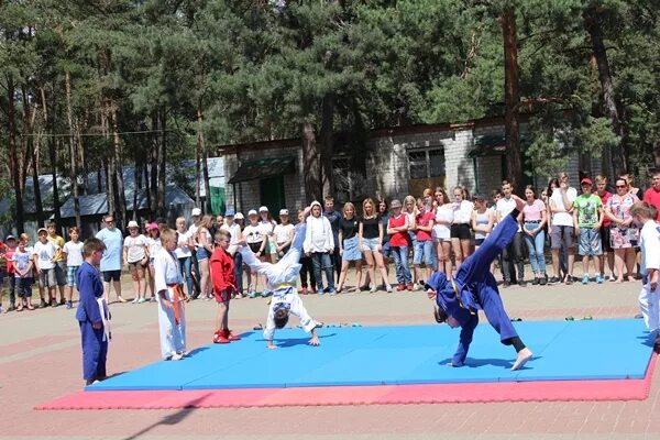 Олимпиец курск фото Спортивно-оздоровительный комплекс Олимпиец, спортивный комплекс, ул. Парк Солян