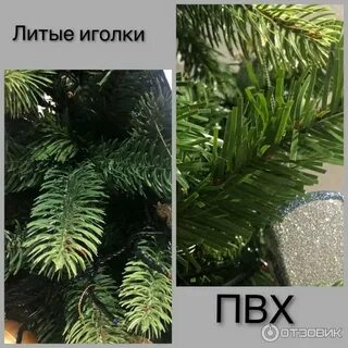 Ели клаб
