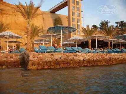 Albatros sharm ex beach 4 отзывы