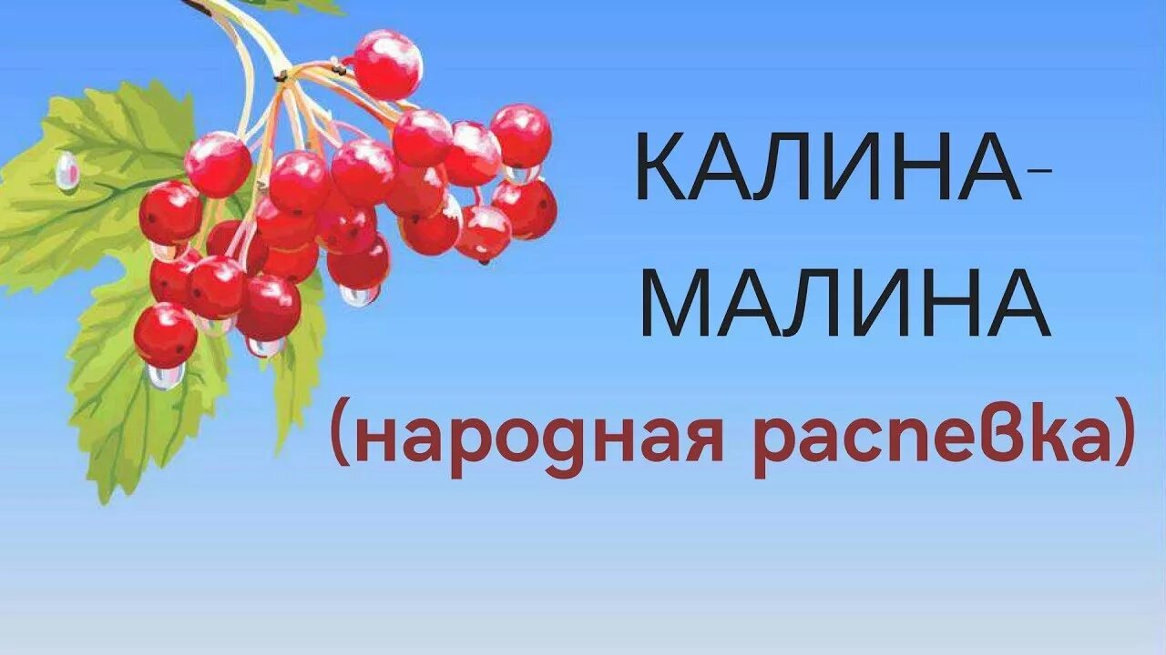 Калина малина. Калина малина песня. Калина-малина песня народная. Малиновая Калина.