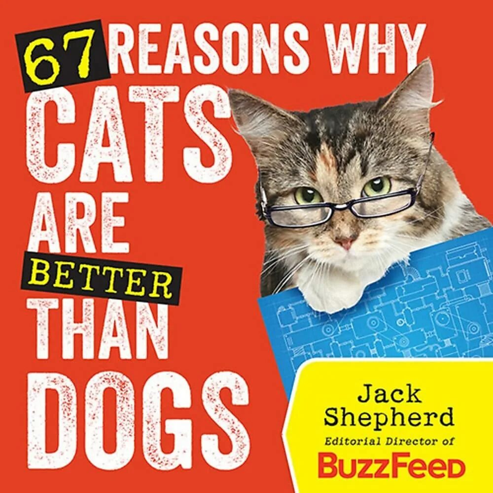 Cat is better than dog. Dogs are better than cats. better cats. cats are so much better than dogs.