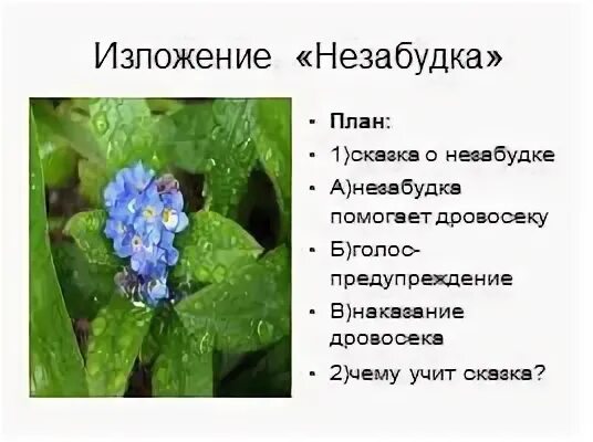 Чему учит сказка незабудка