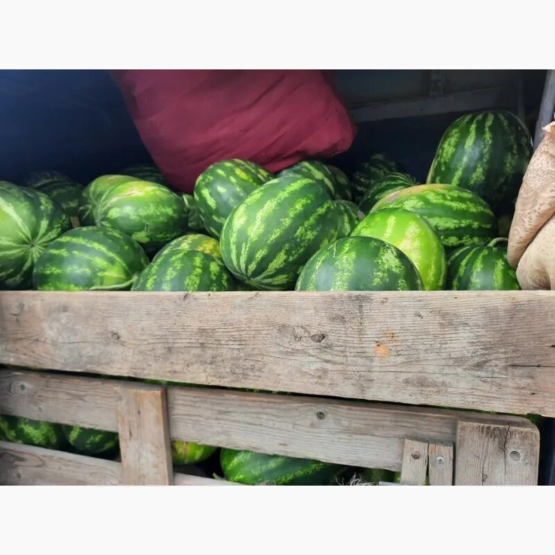 Арбузами продается