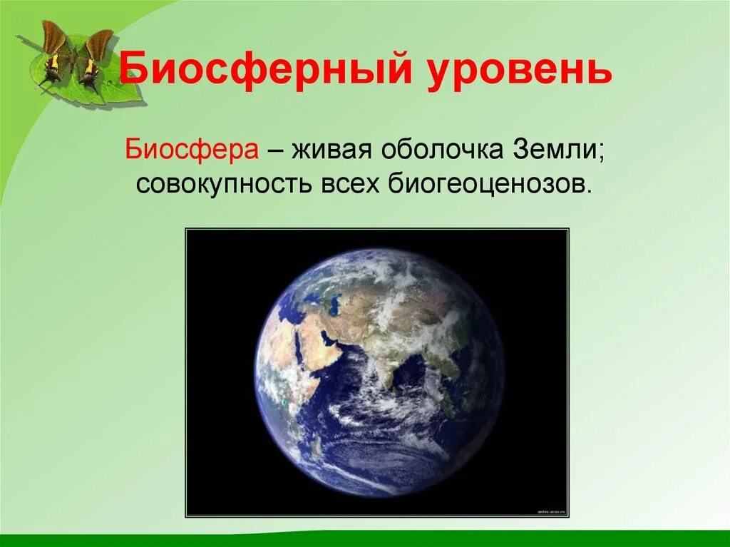 Биосферный уровень общая характеристика. Биосфера уровень организации жизни. Биосферный уровень организации живого. Биосферный уровень организации живой материи. Биосферный уровень жизни.