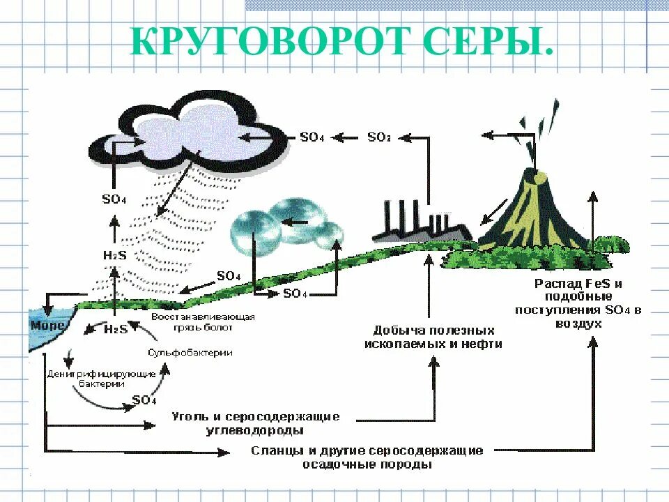 Схема круговорота серы в природе впр. Биогеохимический цикл фосфора схема. Круговорот кальция в природе схема. Круговорот фосфора ( по п. Дювиньо и м. Тангу ). Схемы круговорота углерода, азота, серы, фосфора.