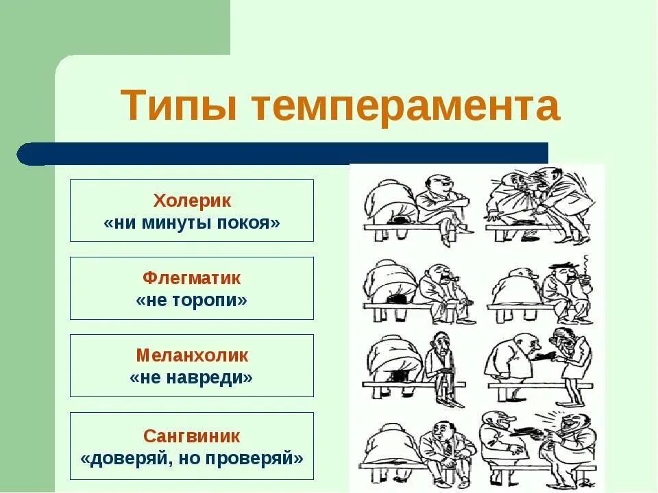 Темперамент человека. Виды темперамента. Типы темперамента человека. Темпераментлар. Каком темперамент лучше