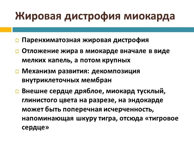 Механизм жировой дистрофии миокарда. Жировая дистрофия миокарда патогенез. Механизм развития жировой дистрофии миокарда. Исходы паренхиматозной жировой дистрофии.