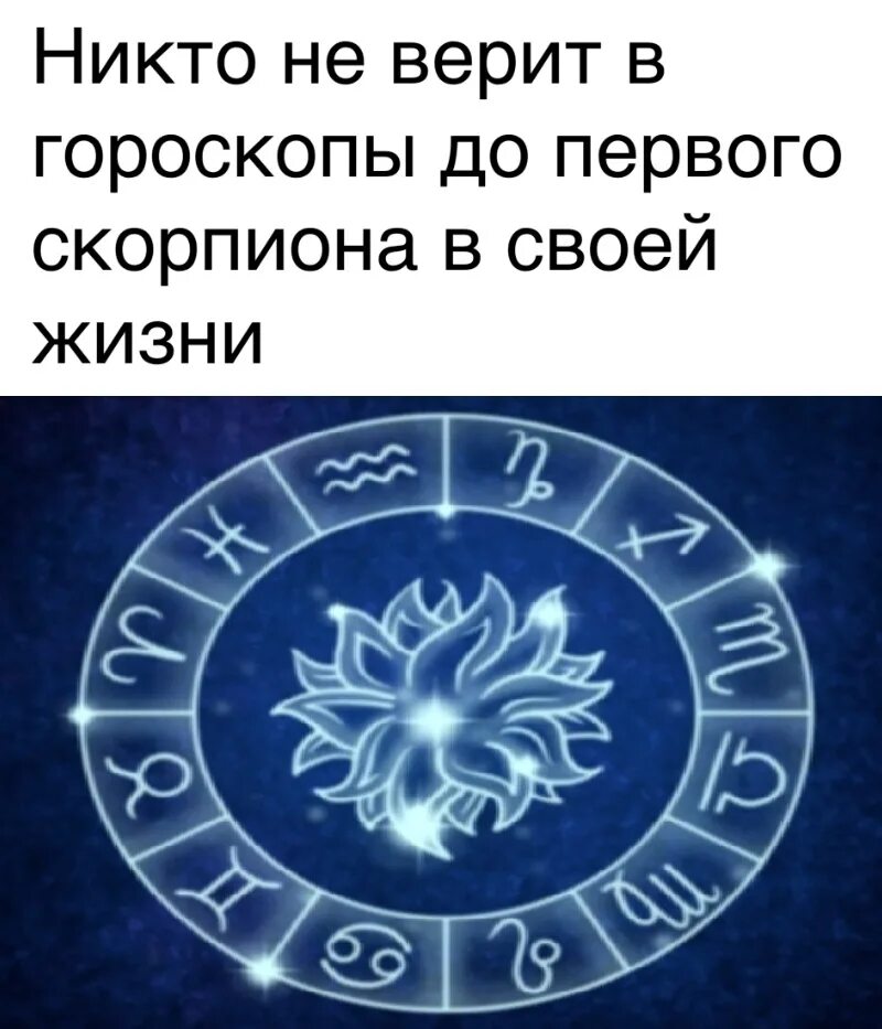 Люди верящие в астрологию егэ. Верю в гороскоп. Верить в знаки зодиака. Никто не верит в гороскопы до первого скорпиона. Дева весы Скорпион Стрелец.