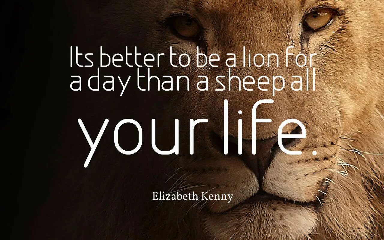 More than one day. One day as a lion. lion quotes short. lion a long way home. one day as a lion русская обложка.