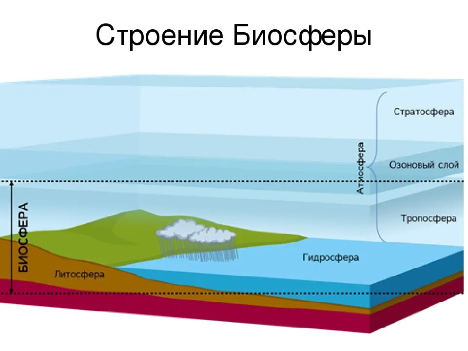 Границы биосферы атмосфера гидросфера литосфера. Схема литосфера атмосфера гидросфера. Биосфера земли слои. Строение земли атмосфера гидросфера литосфера.