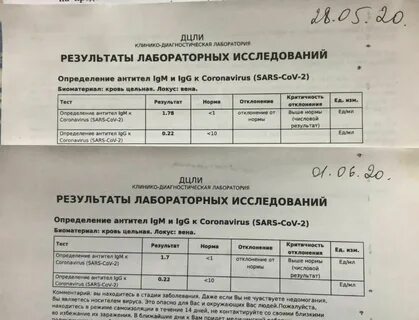 Дцли бланки