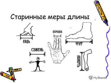 Единица длины изображения