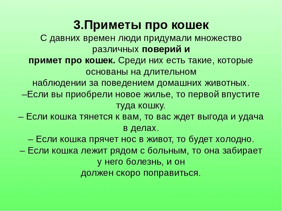 Приметы незамужней. Народные приметы. Приметы человека. Интересные приметы. Народные приметы про кошек.