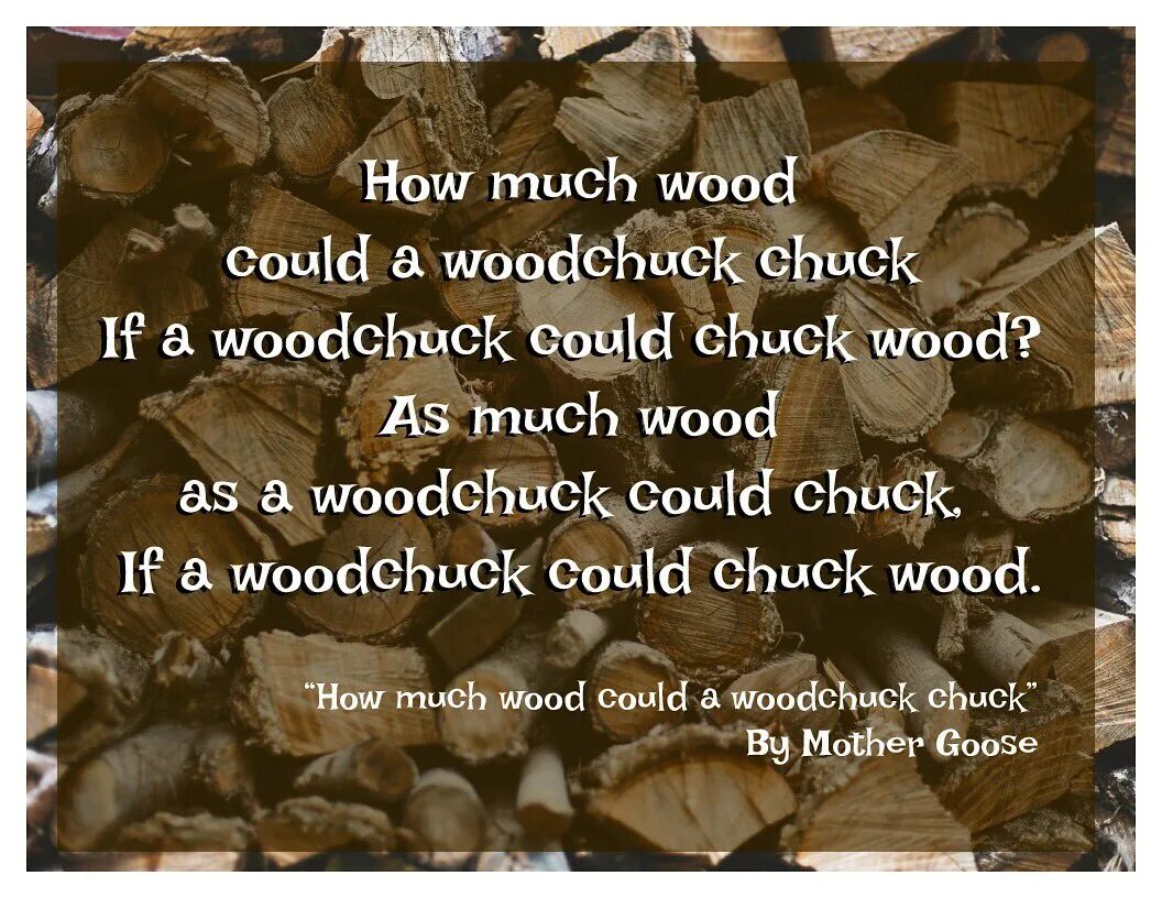 If a Woodchuck could Chuck Wood. How much Wood would a Woodchuck Chuck скороговорка. Woodchuck поговорка. Chuck Wood скороговорка.