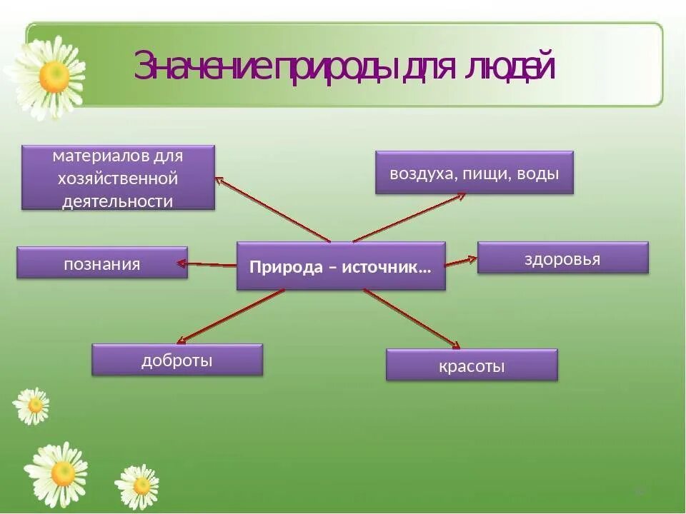 Польза живых организмов. Значение природы для человека. Значимость природы для человека. Значение природы в жизни человека. Важность природы в жизни человека.