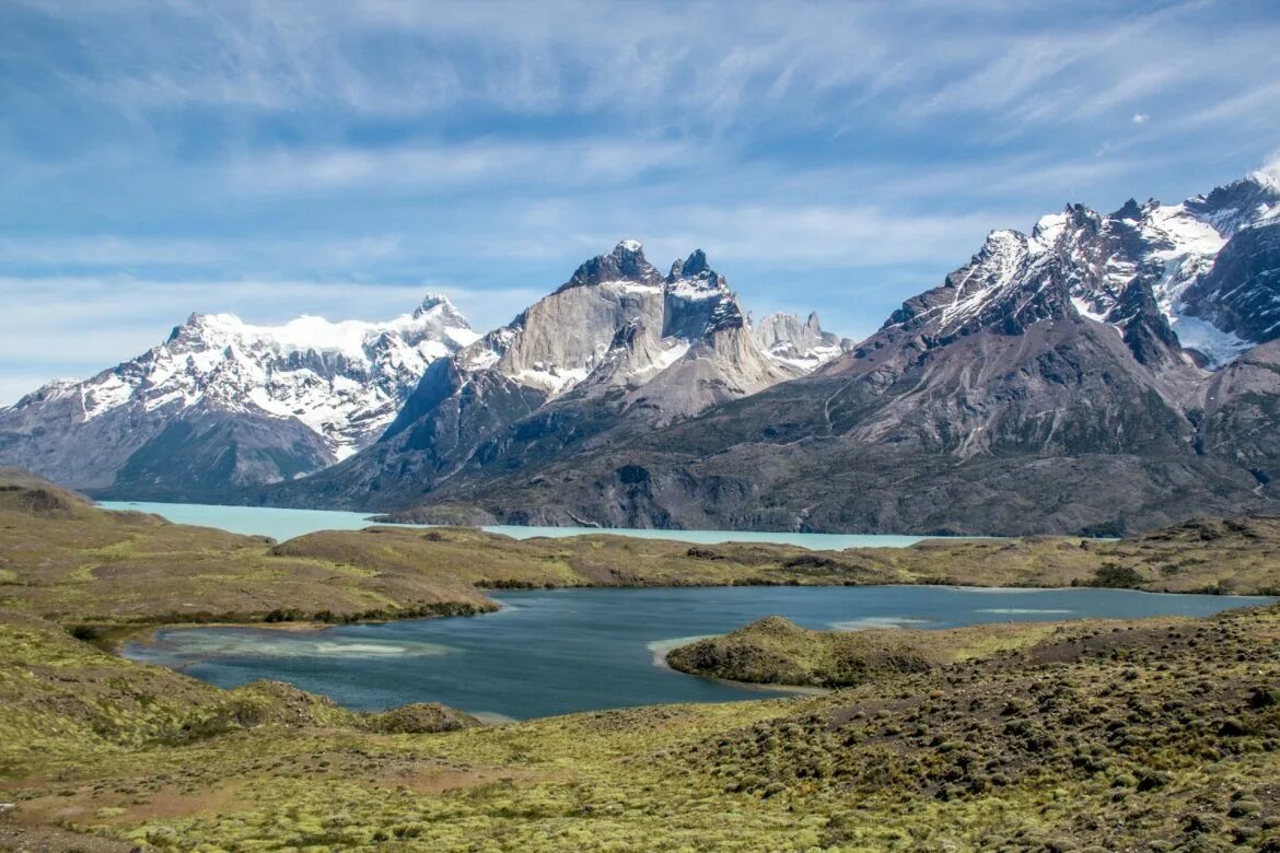 Торрес дель Пайне. Пайне (Чили). Национальный парк Торрес-дель-Пайне животные. Национальные парки Торрес-дель-Пайне и Бернардо-о’Хиггинс.