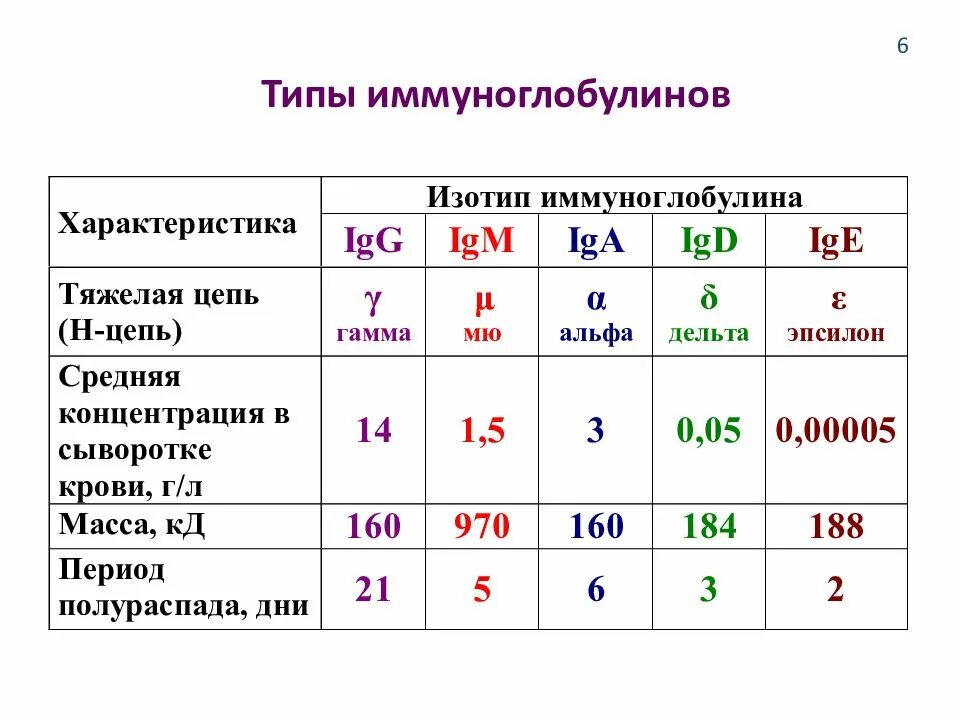 Классы иммуноглобулинов микробиология таблица. Основные классы иммуноглобулинов человека. Характеристика классов иммуноглобулинов. Иммуноглобулины классы и функции.