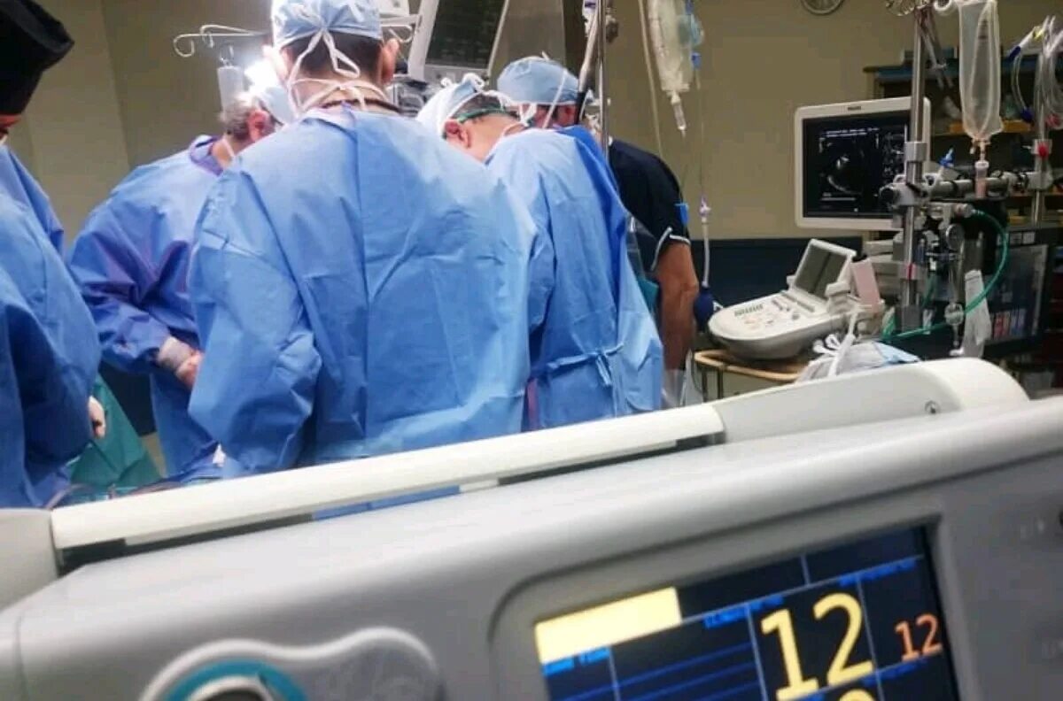 Операция 8 часов. Клоны для трансплантации органов.