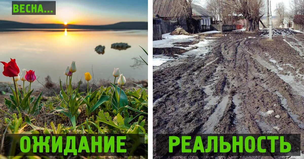 Вена ожидание реальность. Чистая реальность