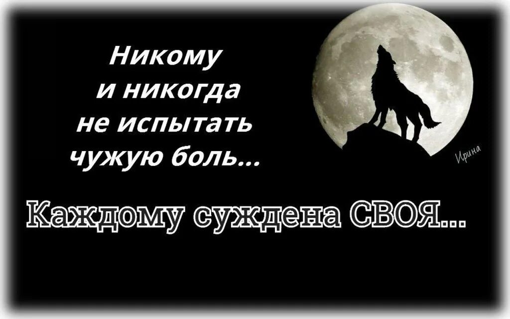 Мусульманский волк. Волк в Исламе. Волк мусульманин. Изображение волка в Исламе.