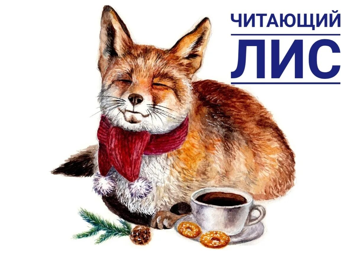 Книга про лисенка. Фурри лисик. Лисенок в библиотеке книга. Лисов читать. Лисов читать.